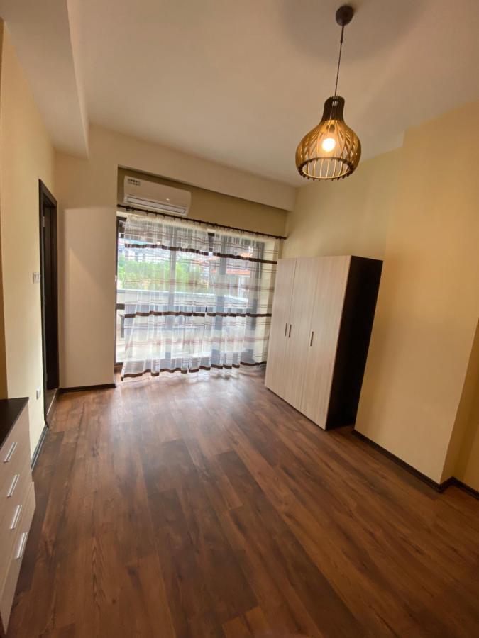 Cozy Apartment With Fantastic View バンスコ エクステリア 写真